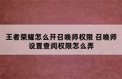 王者荣耀怎么开召唤师权限 召唤师设置查阅权限怎么弄